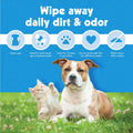 Petkin Kitty Eye Wipes, 40 Moist Wipes - Gentle Eye Cleaning Wipes Remove Dirt, Discharge, & Tear Stains - Safe, Convenient, Easy to Use Pet Wipes for Cats & Kittens - Ideal for Home or Travel