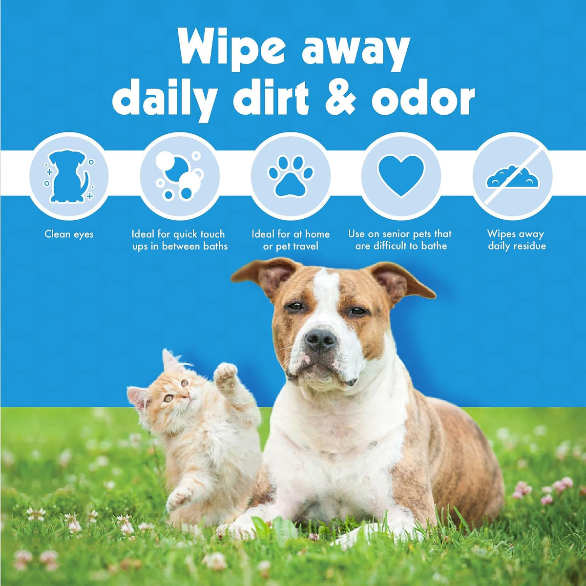Petkin Kitty Eye Wipes, 40 Moist Wipes - Gentle Eye Cleaning Wipes Remove Dirt, Discharge, & Tear Stains - Safe, Convenient, Easy to Use Pet Wipes for Cats & Kittens - Ideal for Home or Travel