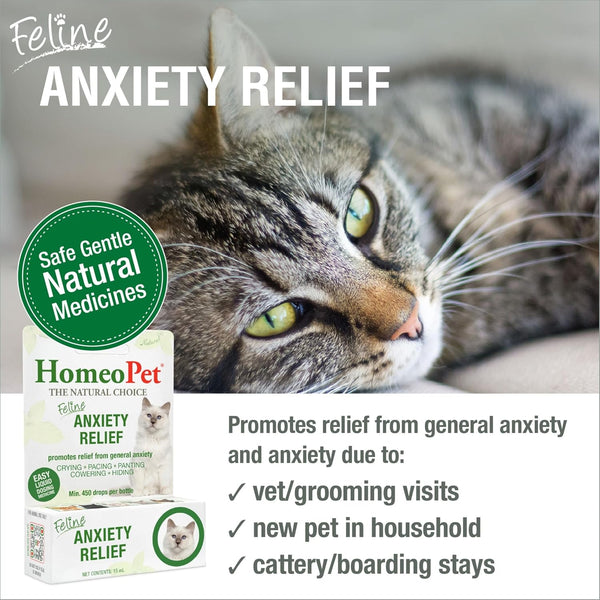 HomeoPet Feline Anxiety Relief Safe and Natural Pet Stress and Anxiety Support Supplement for Cats 15 Milliliters