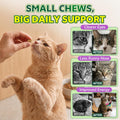 Lysine for Cats, L-Lysine for Cats Chews & Lysine Treats, 500 Chews, Immune Support with L-Lysine Supplement, Colostrum, Quercetin & Omega-3, Respiratory, Sneezing, Runny Nose, Eye, Chicken Flavor