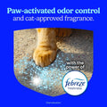 Fresh Step Advanced Clean Paws Multi Cat Clumping Litter with Febreze Freshness, Low Tracking, 18.5 lb. Box, Pack of 2
