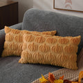 DFXSZ Fall Pillow Covers 18x18 2Pcs Rust Pumpkin Fall Decorations for Home | Fall decor Set of 2 Throw Pillow Cases Soft Plush Faux Fur Wool Couch Cushion for Chair Sofa Bedroom Living Room Home Decor