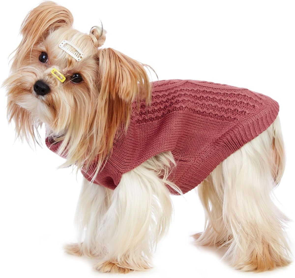 Cat Sweater Stretchy,19 Colors,6 Sizes,Snug Winter (Maple Leaf Red, Medium, Vest)