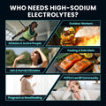 Venture Pal High Sodium Sugar-Free Electrolyte Powder Packets - Hydration Packets with Sodium, Potassium & Magnesium | Zero Calories | Keto, Vegan, and Paleo Friendly | 16 Sticks