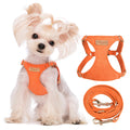 Puppytie xs Dog Harness with Multifunction Dog Leash,Soft Adjustable No Choke Escape Proof Pet Harness Vest,red-Camellia,XS