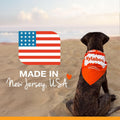 Nylabone Original Bone Power Chew Toys for Dogs, Durable & Tough Dog Toys for Aggressive Chewers, Long Lasting Chicken, Bacon, and Peanut Butter Flavor, Small - Up to 25 lbs, 1 Count