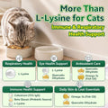 Lysine for Cats, L-Lysine for Cats Chews & Lysine Treats, 500 Chews, Immune Support with L-Lysine Supplement, Colostrum, Quercetin & Omega-3, Respiratory, Sneezing, Runny Nose, Eye, Chicken Flavor