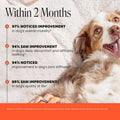 Hip + Joint Supplement for Dogs with Glucosamine Chondroitin - MSM, Turmeric & Collagen Soft Chews - Joint Function, Stiffness, and Mobility Support, May Reduce Occasional Discomfort (Chicken, 90 Ct)