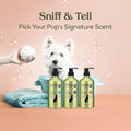 PAWFUME Deshedding Dog Shampoo and Conditioner, Show Dog, 1-Pack – Nourish & Detangle for Silky Soft Coat – Probiotic, Deep-Cleaning, pH-Balanced Formula – Salon-Quality Shampoo for Dogs