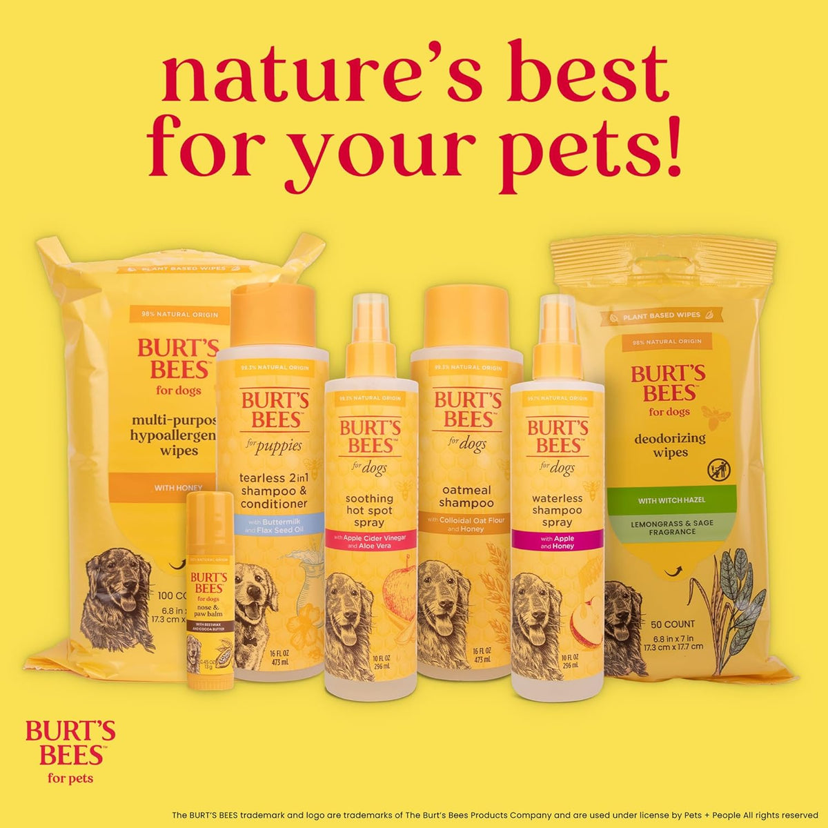 Burt’s Bees for Pets Multipurpose Dog Wipes, Honey and Grapefruit Scent - Hypoallergenic, 98% Natural Origin Wipes That Cleanse and Deodorize, Gentle Formula, 100 Count