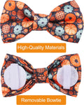 PET SHOW 10 Pack Fall Dog Bowties for Large Dogs Sliding on Collar