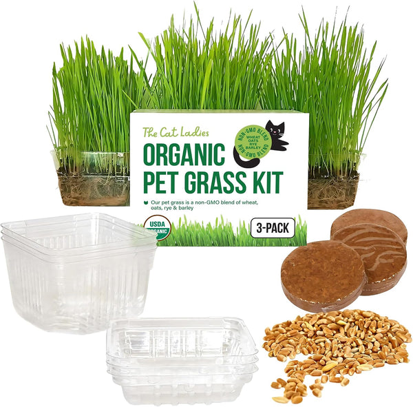 The Cat Ladies Cat Grass for Indoor Cats - Growing Kit - Organic Cat Grass Seeds, Soil and BPA Free Containers (Non GMO) - Locally Sourced Seeds! (3 Pack)
