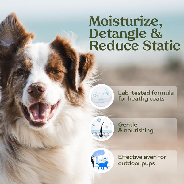 PAWFUME Dog Perfume Spray for Grooming, Blue Ribbon, 1-Pack – Keep Your Pup Fresh All Day – Probiotic, Alcohol-Free, Detangling & Moisturizing – Salon-Quality Dog Spray Deodorizer Perfume