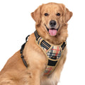 rabbitgoo Dog Harness No Pull with 2 Leash Clips, Adjustable Soft Padded, Reflective Oxford No Choke Pet Vest with Easy Control Handle for Medium Sized Dogs, Black, M