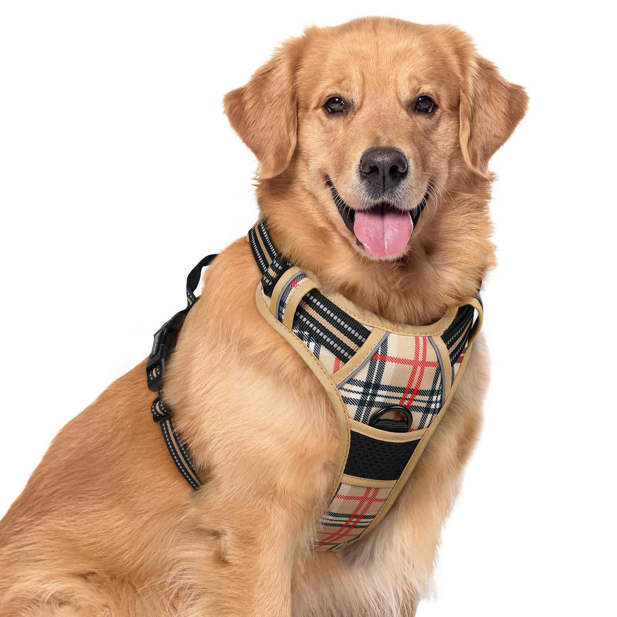rabbitgoo Dog Harness No Pull with 2 Leash Clips, Adjustable Soft Padded, Reflective Oxford No Choke Pet Vest with Easy Control Handle for Medium Sized Dogs, Black, M