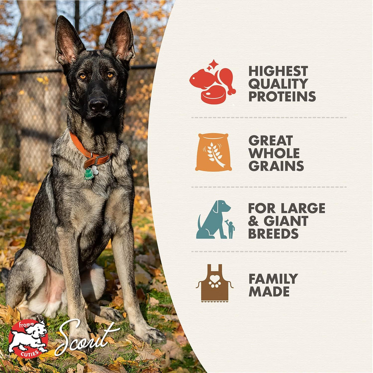 Fromm Large Breed Adult Gold Premium Dry Dog Food - Dry Adult Dog Food for Large Breeds - Chicken Recipe - 30 lb
