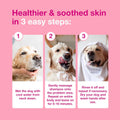 Douxo S3 Calm Dog Shampoo for Itchy Skin Relief, Dog Shampoo for Allergies and Itching, Soothes Itchy, Irritated or Allergic Skin For Dogs and Cats, 6.7 fl oz