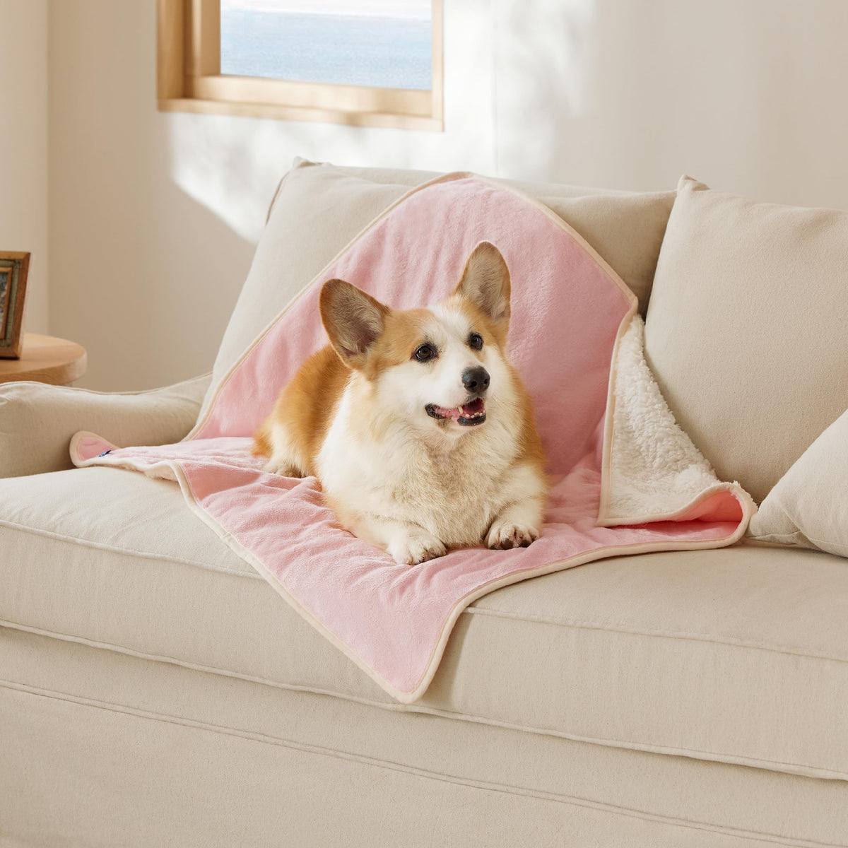 Bedsure Waterproof Dog Blankets for Small Dogs Soft Cat Blanket Warm,25X35