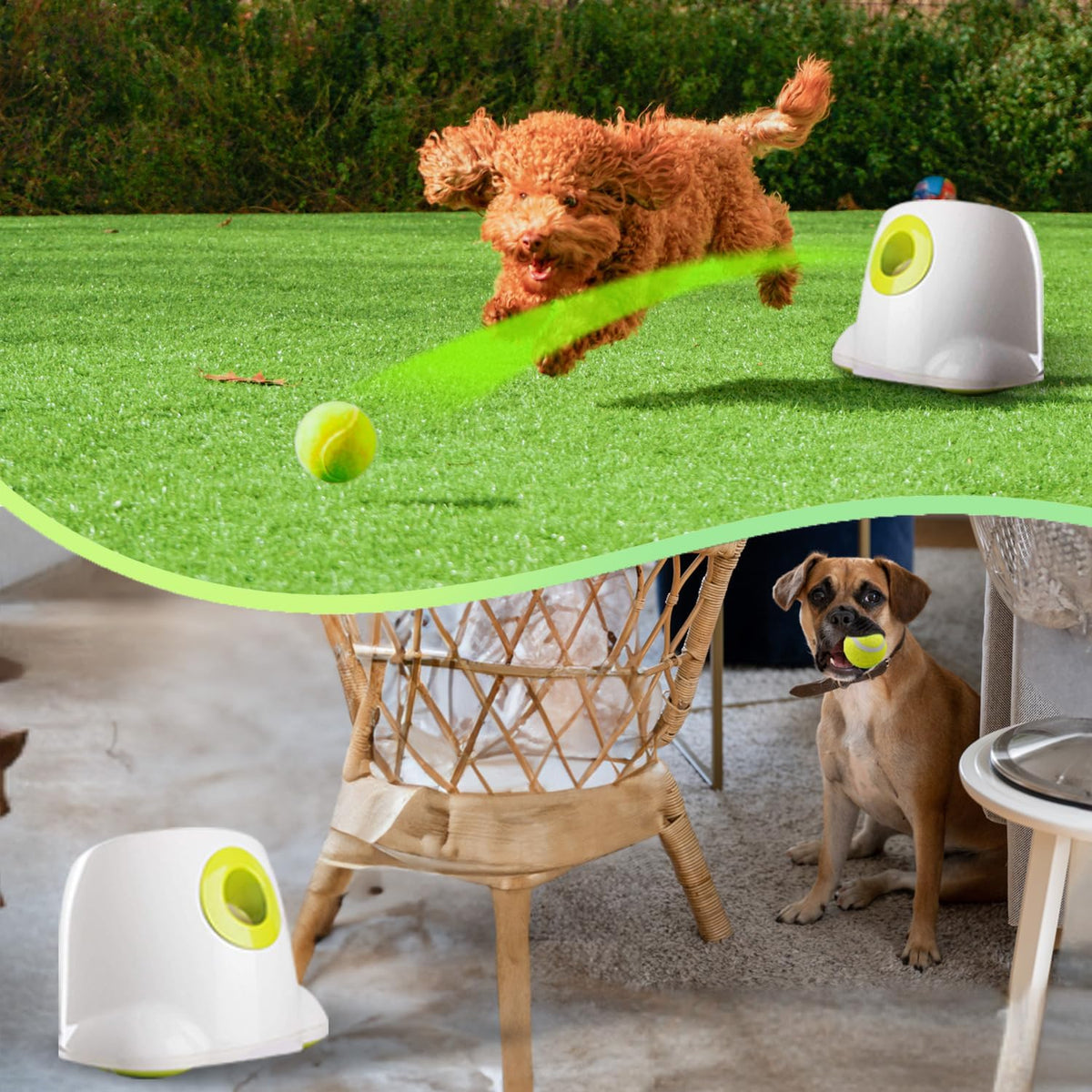 ALL FOR PAWS Automatic Dog Ball Launcher, Interactive Fetch Toy for Small to Medium Dogs, Pet Thrower Machine for Indoor & Outdoor Play, 3 Pcs 2-Inch Balls Included