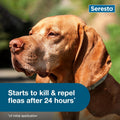 Seresto Flea & Tick Collar For Dogs Over 18 lbs., Treatment & Prevention, Vet-Recommend, 8 Month Protection