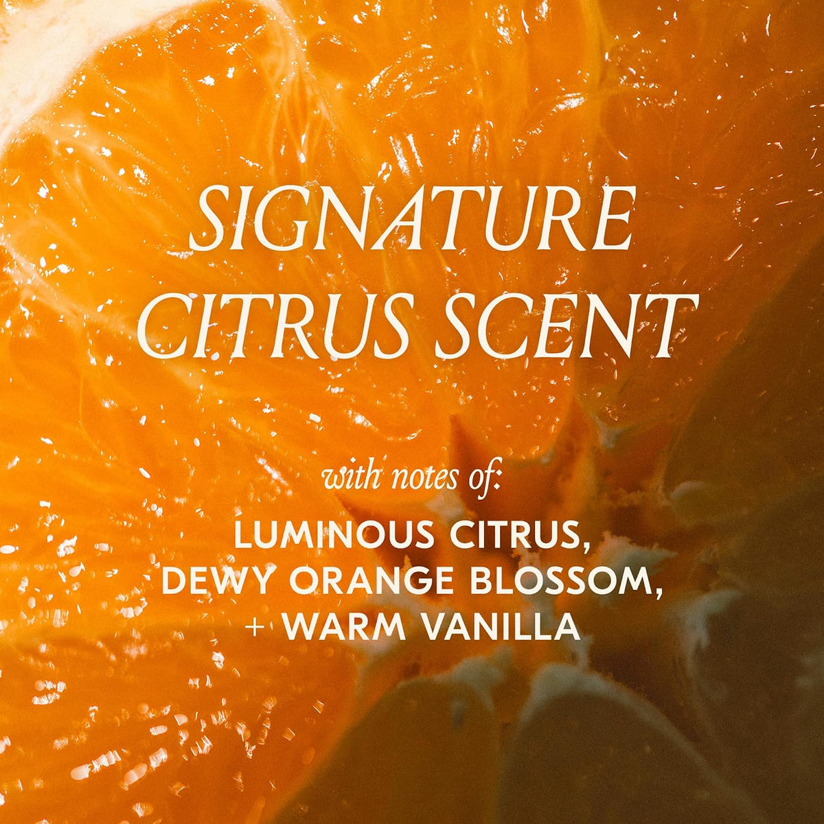 DAE Cactus Fruit 3-in1 Styling Cream & Taming Wand - Tames Flyaways