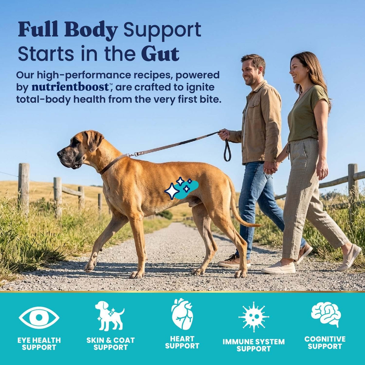 Solid Gold Bison Dry Dog Food for Large Dogs – High Protein, Whole Grain Kibble with Real Bison, Brown Rice & Omega 3 – Large Kibble w/Probiotics for Gut Health - Adult Dog Food - Nutrientboost™–22LB