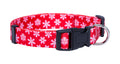 Native Pup Halloween Dog Collar- Spooky Fall Themed Horror Costume Collars- Skull, Pumpkin, Ghost, Bat, Witch, Candy Corn, Spider- Adjustable for Small, Medium, Large Breeds (Small, Big Pumpkins)