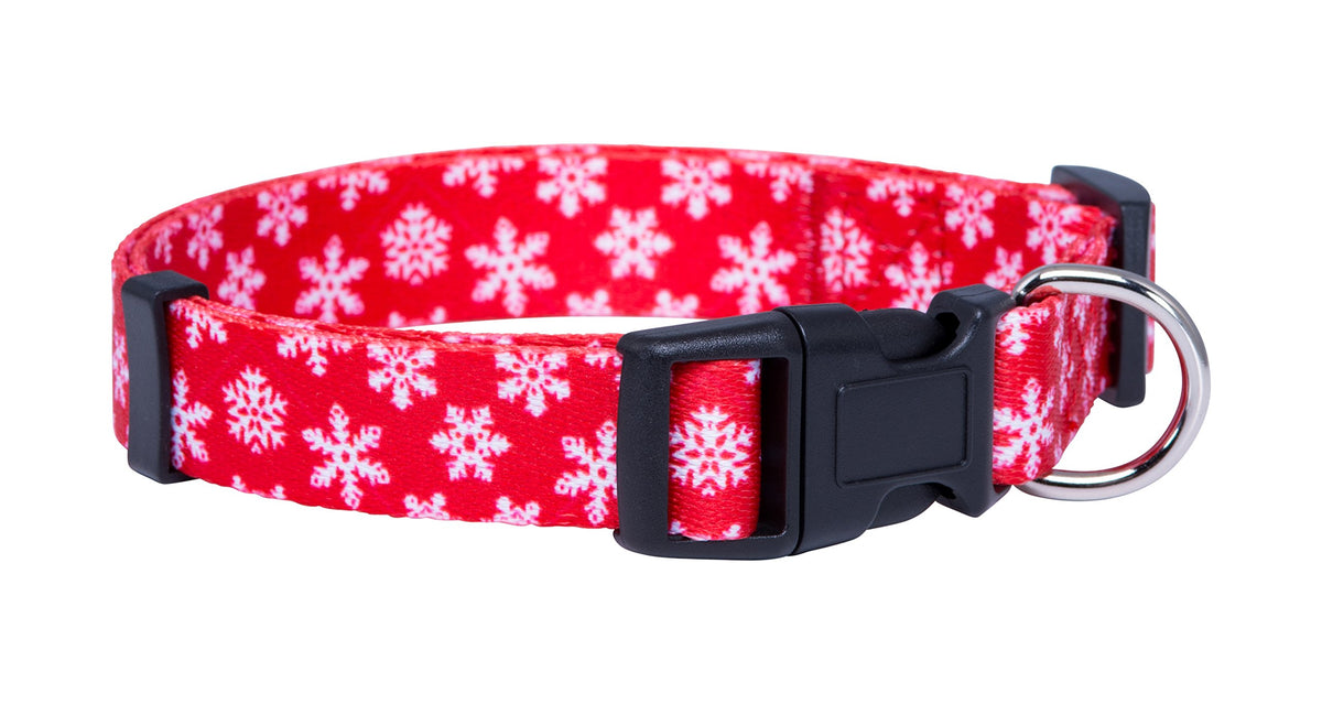 Native Pup Halloween Dog Collar- Spooky Fall Themed Horror Costume Collars- Skull, Pumpkin, Ghost, Bat, Witch, Candy Corn, Spider- Adjustable for Small, Medium, Large Breeds (Small, Big Pumpkins)