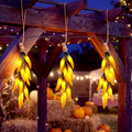 8.5Ft Thanksgiving Turkey String Lights, 10 LED Outdoor with Garland Decor
