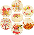 6 Packs Fall Maple Leaves Coasters for Drinks Wood Coasters