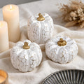 winemana Fall Decorations for Home Mini Pumpkins Gourds & Leaves Set