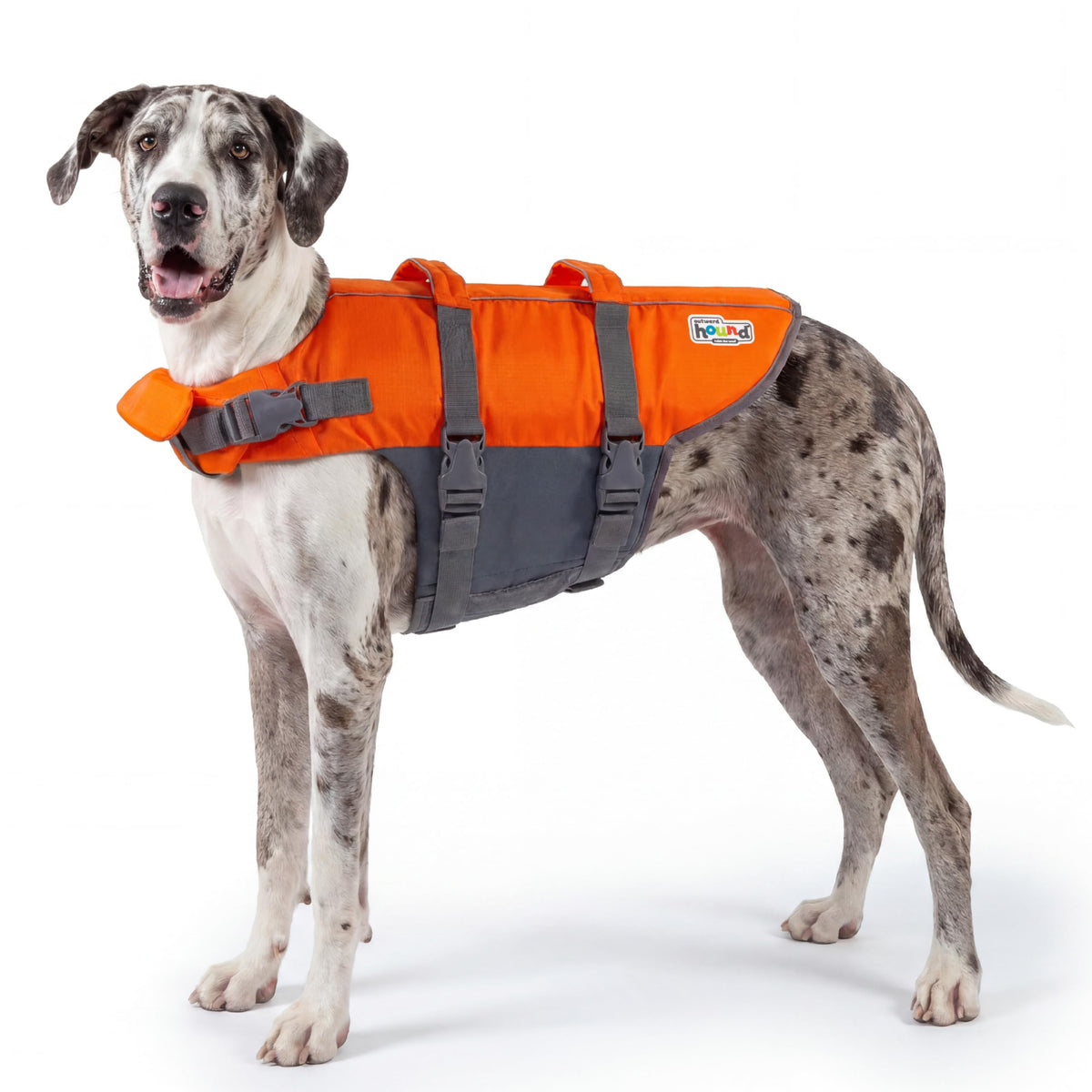 Outward Hound Granby Splash Orange Dog Life Jacket, Medium
