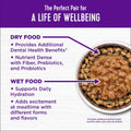 Wellness Complete Health Adult Dry Cat Food, Natural, Wholesome Grains Kibble, Chicken Recipe, 5 lb Bag