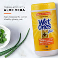 Wet Ones for Pets Antibacterial Dog Wipes, Multi-Purpose Grooming Wipes with Aloe Vera for Paws, Face & Body, Easy Cleanups Between Baths, Tropical Splash Scent, 5.7 in x 7.5 in, 50 Count