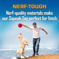 Nerf Dog Classic Squeak Ball Outdoor Dog Toy, 3.8 Inch Dog Ball Fetch Toy, Squeaking Toy for Medium and Large Breeds, Green/Red, 2 Count