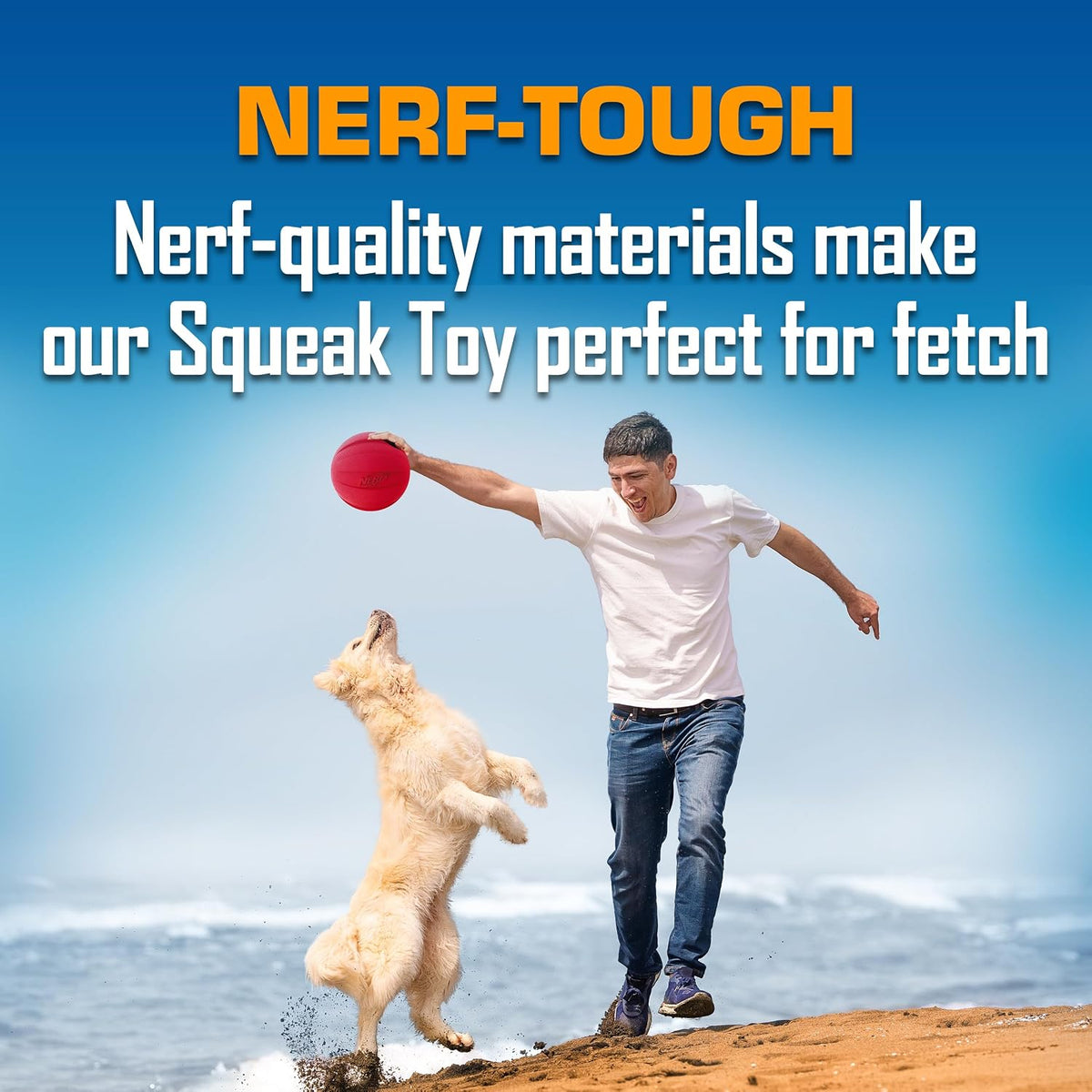 Nerf Dog Classic Squeak Ball Outdoor Dog Toy, 3.8 Inch Dog Ball Fetch Toy, Squeaking Toy for Medium and Large Breeds, Green/Red, 2 Count