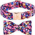 Fall Dog Collar with Bow, Black and Orange Print Fall Pet Collars Small