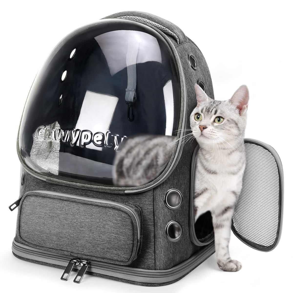 Cawypety Cat Backpack Carrier Large Space Bubble Backpack up to 12lbs Pink