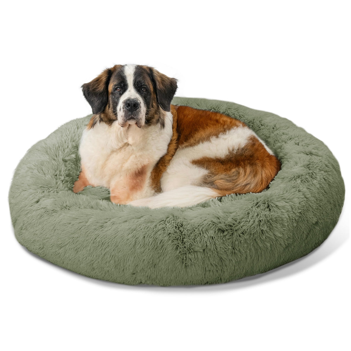 Best Friends by Sheri The Original Calming Donut Dog Bed for Large Dogs up to 100 lbs, Shag Faux Fur, Taupe, Large, 36" x 36"