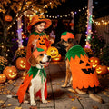 Rypet Dog Pumpkin Costume, Halloween Cape & Hat for Large X-Large Dogs, XL