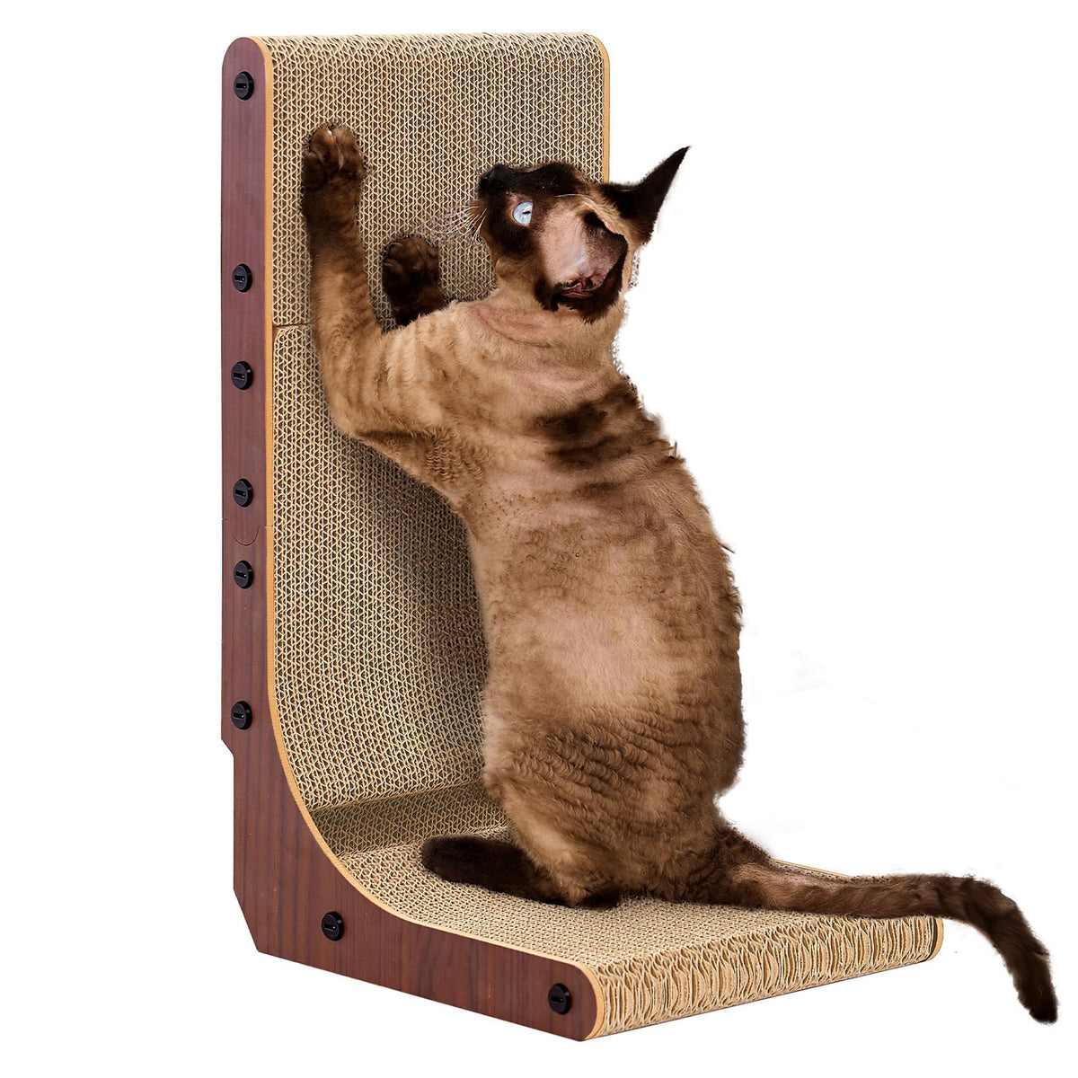 EHEYCIGA Cardboard Cat Scratcher for Indoor Kitten Cats, 19 Inch L Shaped Vertical Cat Scratching Board with Ball Cat Toy, Small Cat Scratcher Pad, Brown