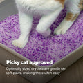 PetSafe ScoopFree Odor Control Crystal Cat Litter, Lavender Scent, 8 Lb Bag