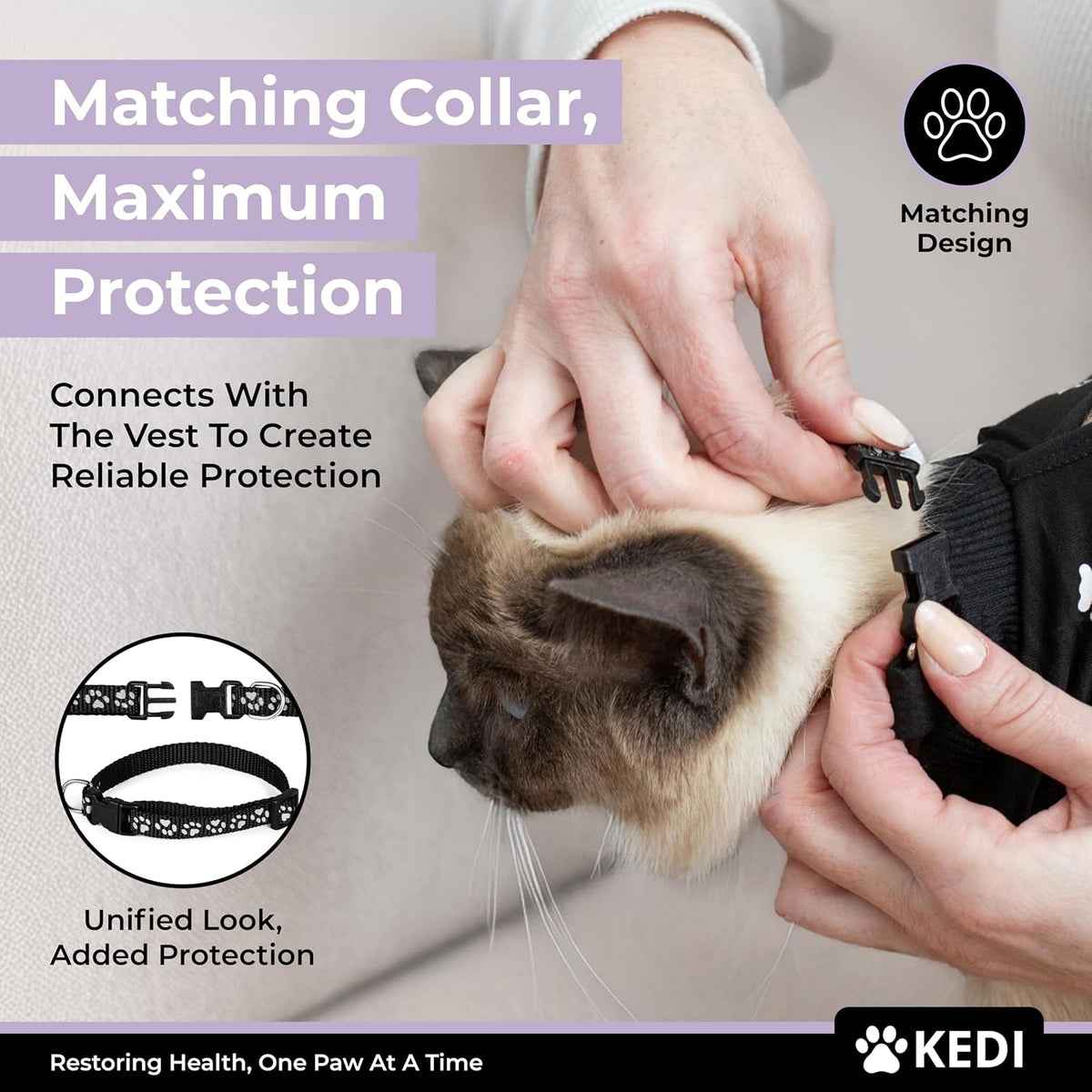 Cat Surgery Recovery Suit Female Cat Onesie for Cats After Surgery Spay Surgical Abdominal Wound Skin Diseases E-Collar Alternative Wear Kitten (Black, Large)