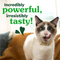 Greenies Cat Treats, Feline Veterinarian-Recommended Adult Natural Dental Cat Treats, Savory Salmon Flavor, 4.6 oz. Pouch