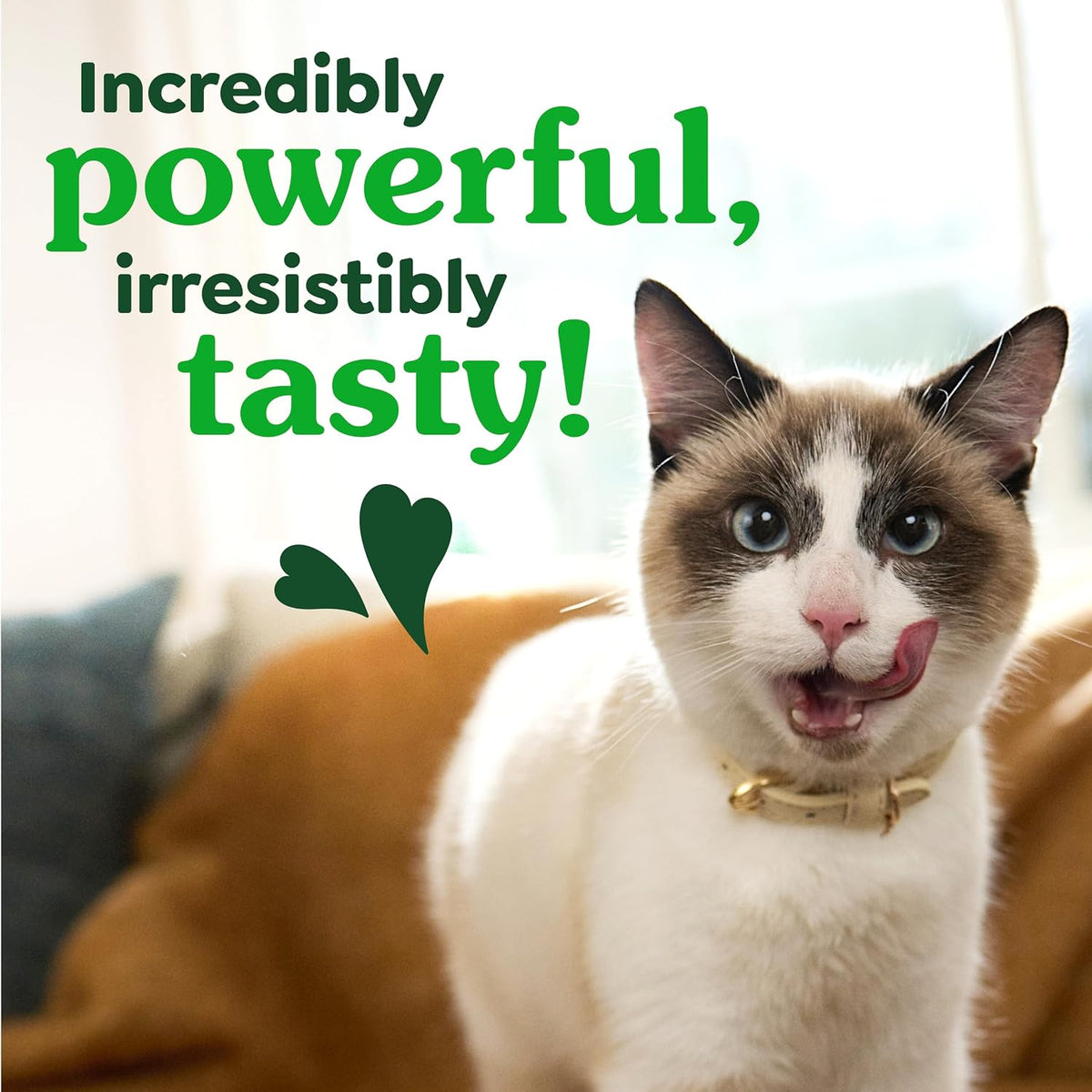 Greenies Cat Treats, Feline Veterinarian-Recommended Adult Natural Dental Cat Treats, Savory Salmon Flavor, 4.6 oz. Pouch