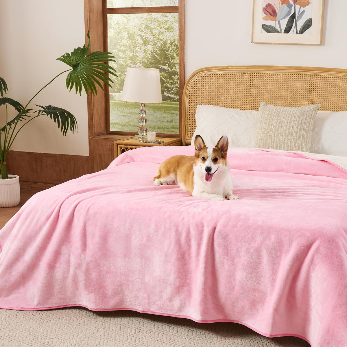 Sunheir Waterproof Dog Blankets for Small Dogs, Pet Blanket for Bed, Couch