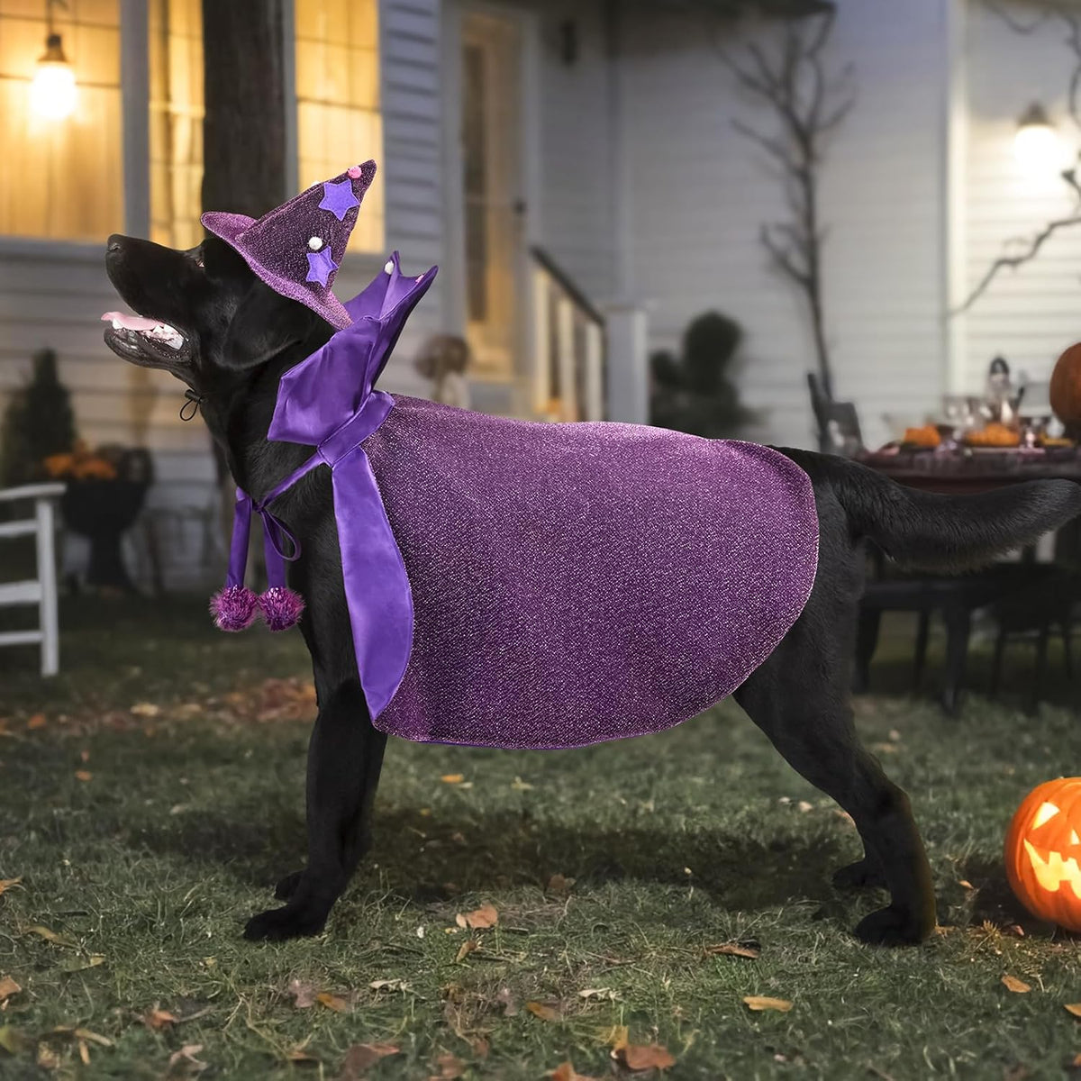 Halloween Dog Costume Dog Witch Cape Witch Hat Set Pet Wizard Cloak Vampire Devil Outfit Puppy Cat Halloween Cloak Devil Clothes Outfit Apparel Cosplay for Small Medium Large Dogs 2Pcs XL