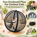 Hamster Ball for Cats, Rolling Cat Playpen Exercise Ball for Outdoors