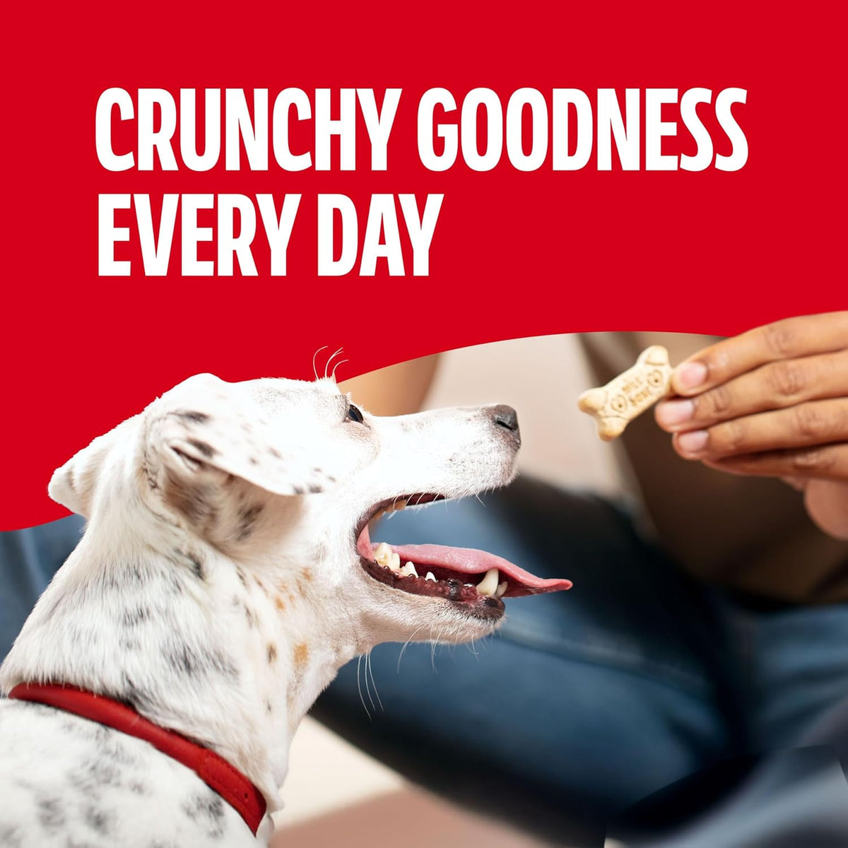 Milk-Bone Crunchy Small Dog Treats, 24 Oz. Box, Original Beef Flavor