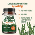 Vegan Omega 3 Algae Oil | Plant Based DHA EPA | Sustainably Sourced, No Carrageenan | Heart, Brain & Eye Health Support | Fish Oil Alternative | Omega 3 Fatty Acid Supplements | 60 Softgels